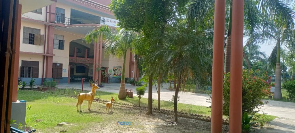 WhatsApp Image 2026-03-24 at 3.43.49 PM (1)